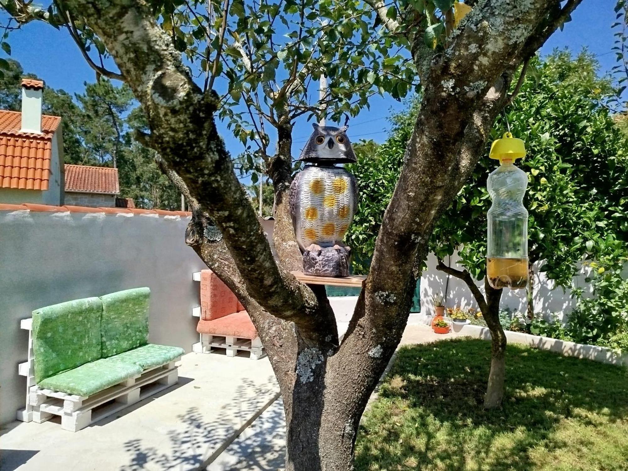 A Telleira Βίλα Rosal Εξωτερικό φωτογραφία
