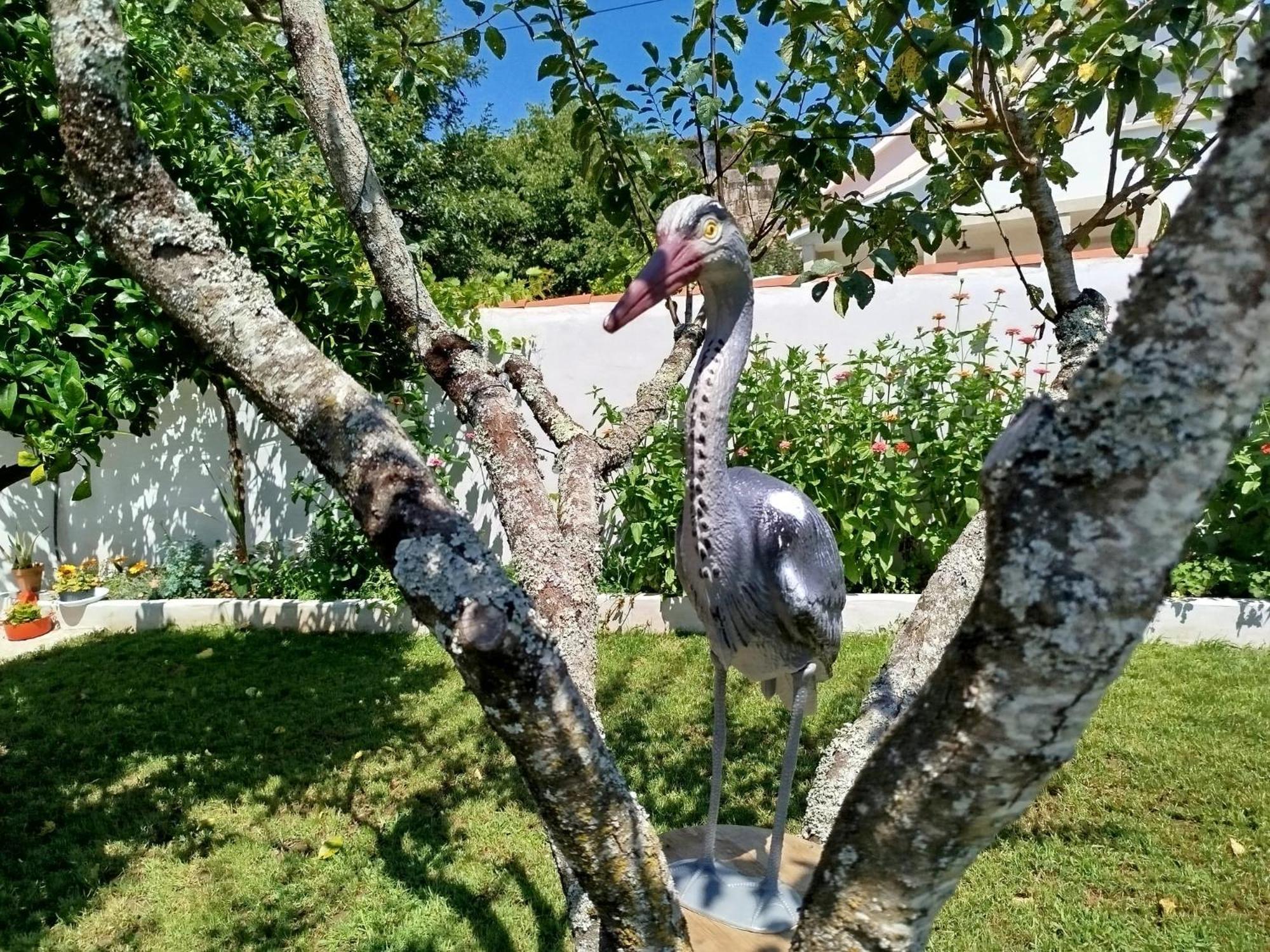 A Telleira Βίλα Rosal Εξωτερικό φωτογραφία